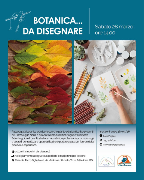 Botanica... da Disegnare e L'uomo che piantava gli alberi