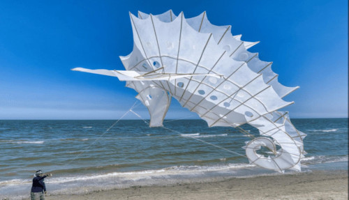 ARTEVENTO Cervia torna con la 46° edizione: tra gli highlights la mostra inedita dedicata all’Olanda e il collettivo artistico Bimana dalla Colombia