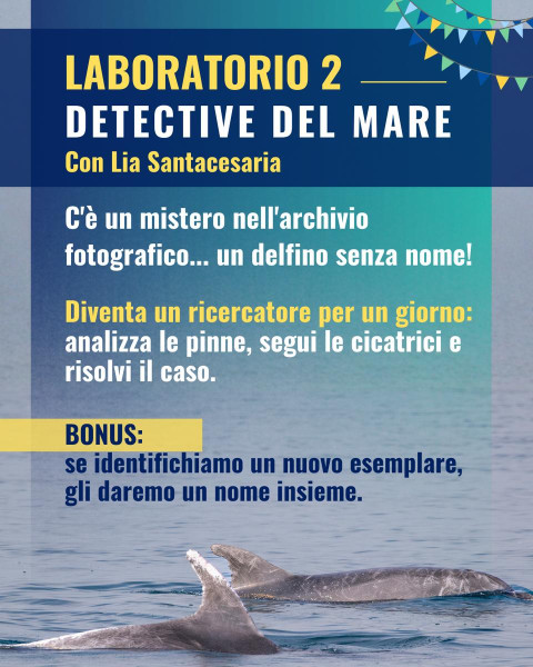 SEA LAB: Detective del Mare
