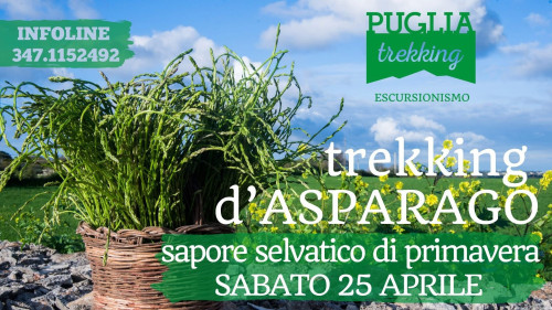 TREKKING D'ASPARAGO Sapore selvatico di primavera