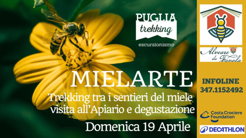 MIELARTE Sentieri del miele e Visita all'apiario
