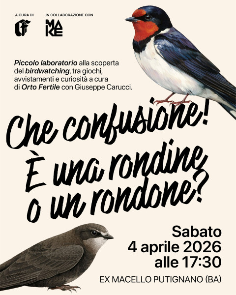 Mini lab "Che confusione! E' una rondine o un rondone?" - alla scoperta del birdwatching, tra giochi, avvistamenti e curiosità