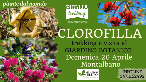 CLOROFILLA trekking e visita al giardino botanico