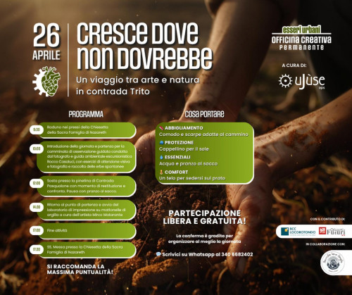 Cresce dove non dovrebbe. Un viaggia tra arte e natura in contrada Trito