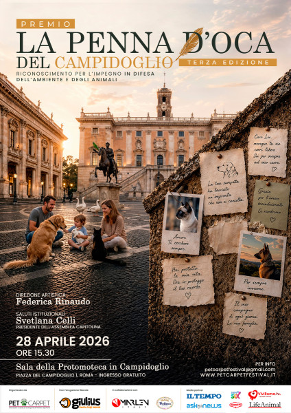 "Penna d’Oca del Campidoglio"