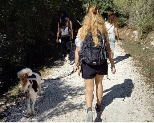 Singles Walk