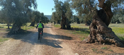 In bici tra i verdi patriarchi di Puglia e visita al Giardino Botanico