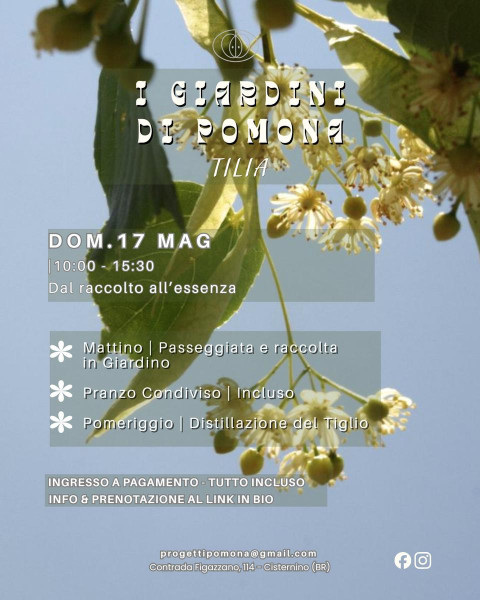 EVENTO:Dal raccolto all’essenza
