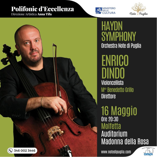 HYDN SYMPHONY