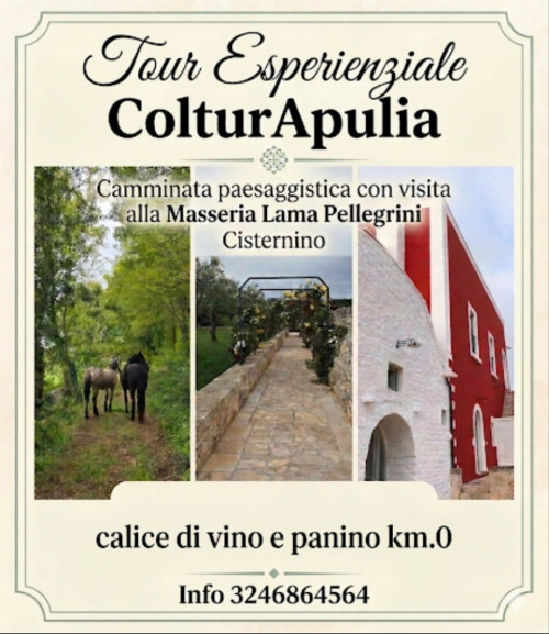 Tour Esperienziale Masseria Lama Pellegrini