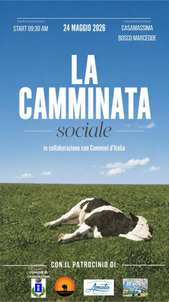 LA CAMMINATA SOCIALE