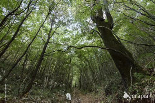 Il Monte della Nzirra al Bosco delle Pianelle