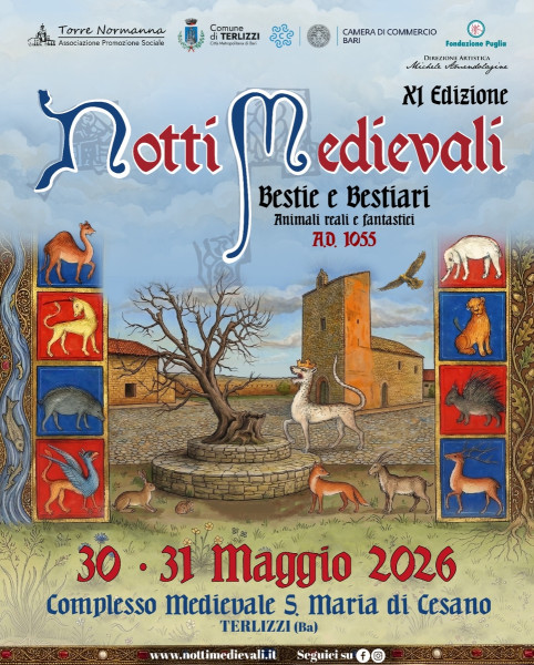 Notti Medievali - XI Edizione