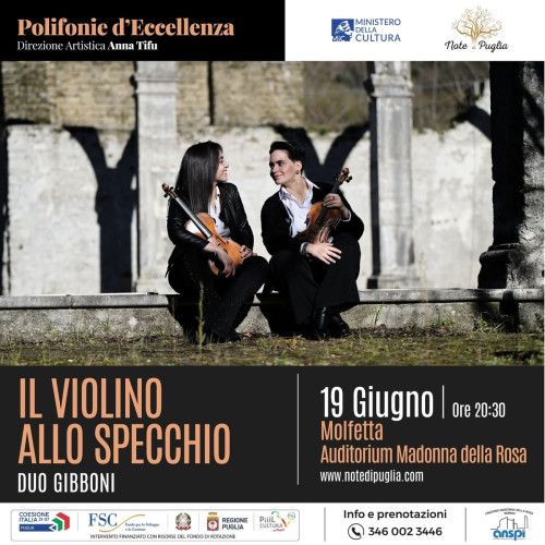IL VIOLINO ALLO SPECCHIO