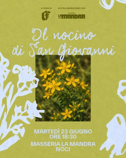 Prepariamo il Nocino di San Giovanni in Masseria