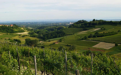 Pomonf Verde per Giovani arriva ad Albugnano