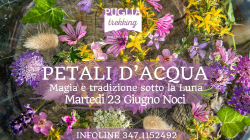 PETALI D'ACQUA Magia e tradizione sotto la Luna