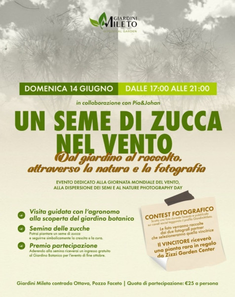 Un seme di zucca nel vento