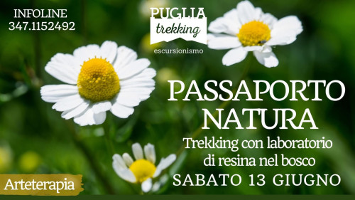 PASSAPORTO NATURA trekking & laboratorio di resina nel bosco