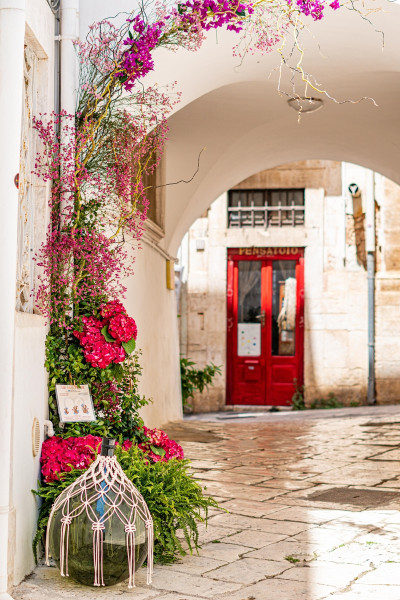 Archi in Fiore