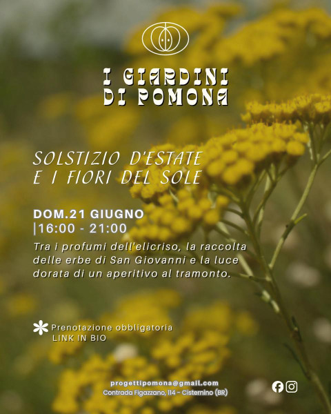 Solstizio d'estate e fiori del sole