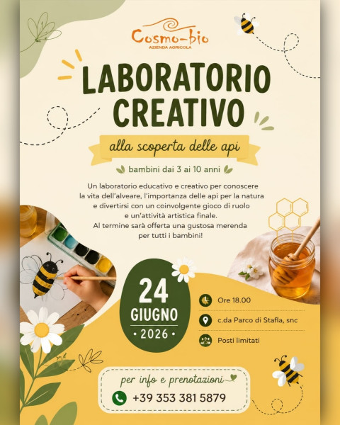 ALLA SCOPERTA DELLE API - laboratorio creativo