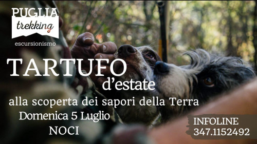 TARTUFO D'ESTATE Alla scoperta dei sapori della terra