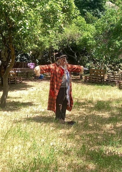 CESCO SPAVENTAPASSERI (amico degli uccelli)