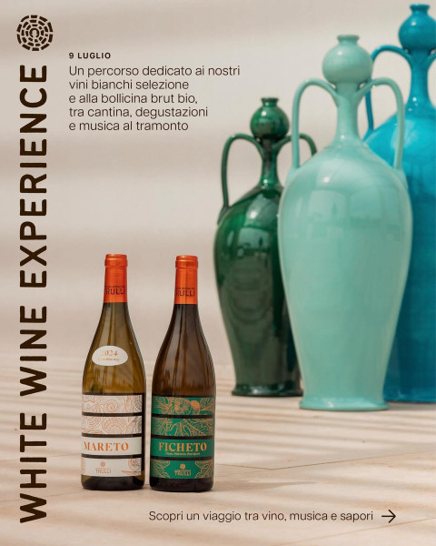 White Wine Tour