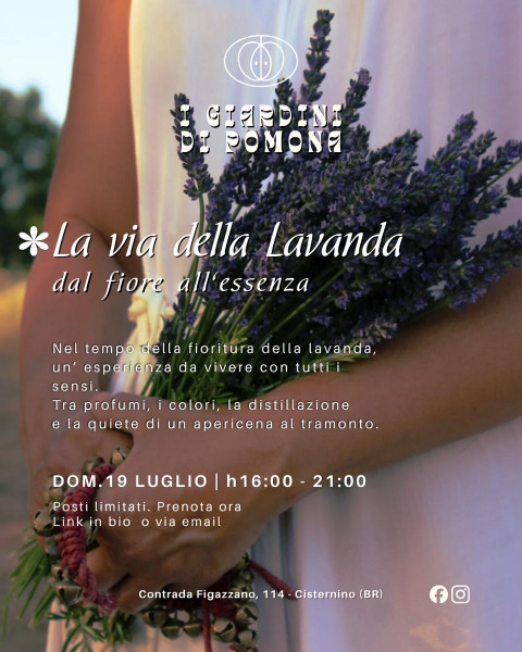 LA VIA DELLA LAVANDA - dal fiore all’essenza | i