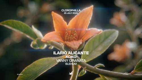 Ilario Alicante + KOKO