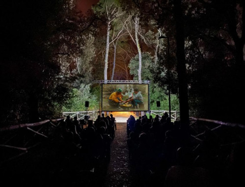 Luci nel bosco. Cinema, arti, natura