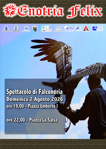 Gran Festival della falconeria