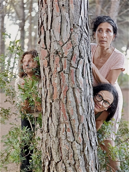 STORIE PICCININE  - il bosco che guarisce