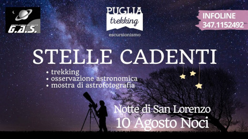 STELLE CADENTI Notte di San Lorenzo