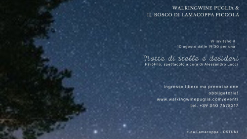 Notte di stelle e desideri