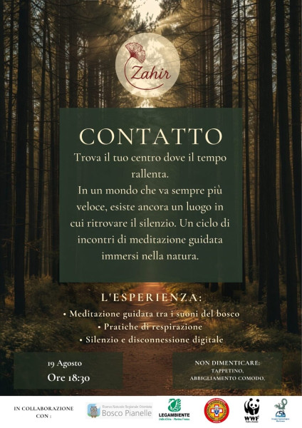 CONTATTO: meditazione nel bosco