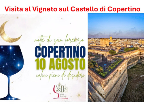 Vini a Sud Wine Festival - Freezap e Sebastiano Procida