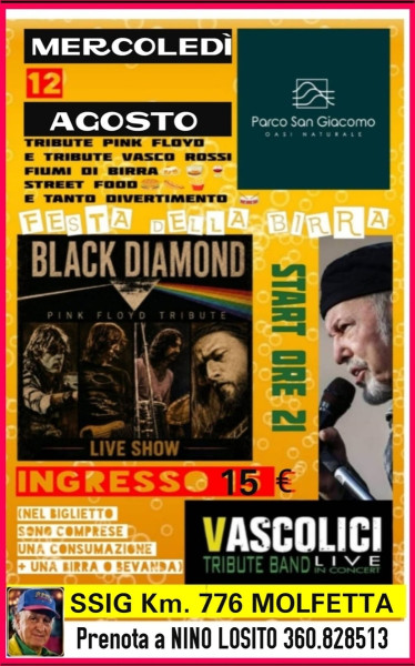 BLACK DIAMOND Cover PINK FLOYD + VASCOLICI Cover di VASCO ROSSI