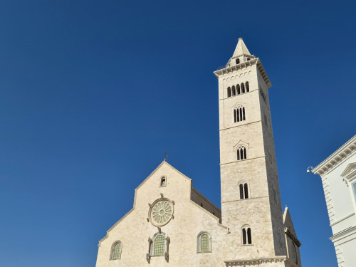 Architetture Ardite – Visita guidata al Campanile della Cattedrale