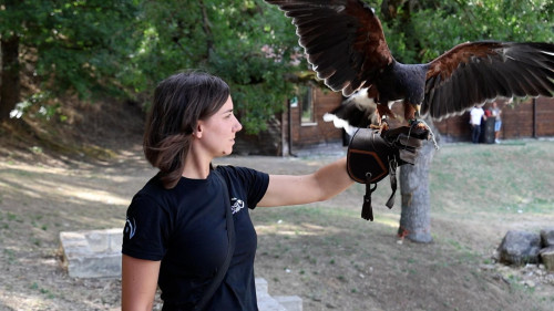 Il Parco della Grancia riapre le porte il 22 e 23 agosto: atteso il tutto esaurito per lo storico cinespettacolo sul brigantaggio e la falconeria