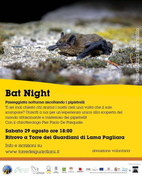 Bat Night: passeggiata notturna ascoltando i pipistrelli