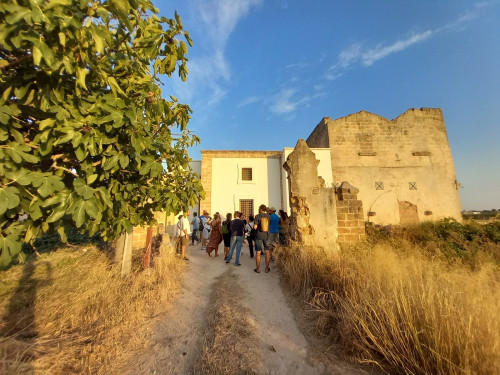Tour guidato tra ville e vigne con aperivino