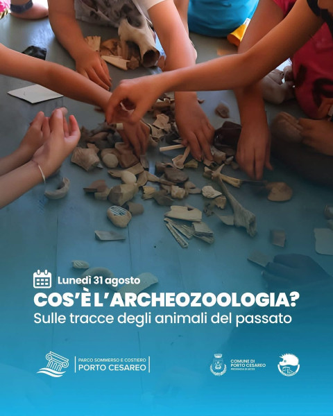 L'Archeozoologia. Sulle tracce degli animali del passato.