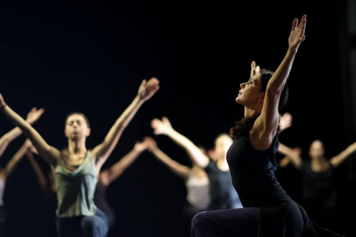 Uni-Tanz: campus internazionale di danza contemporanea