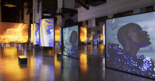 Isaac Julien – All That Changes You. Metamorphosis
