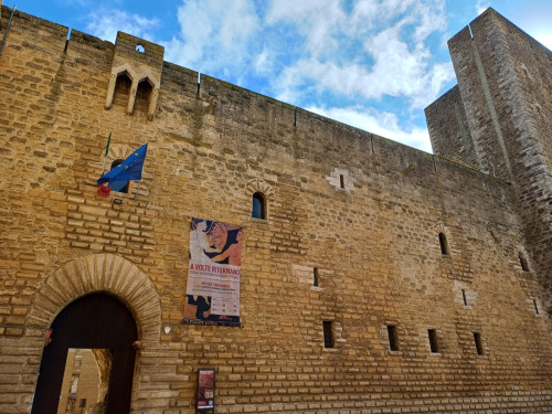 Domenica al Museo-Castello: Visite Guidate e Ingresso Gratuito