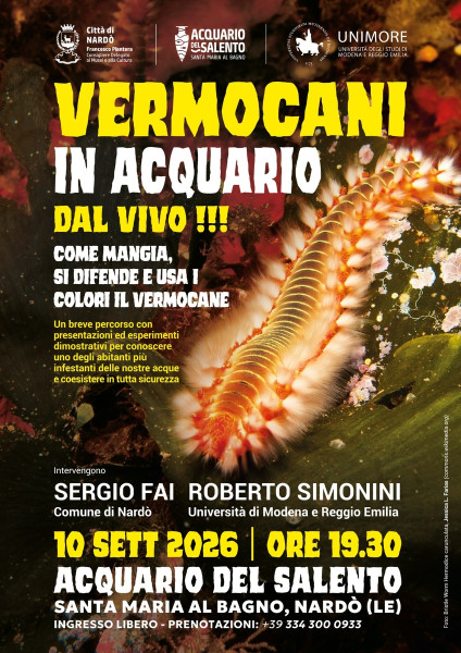 Vermocani in Acquario
