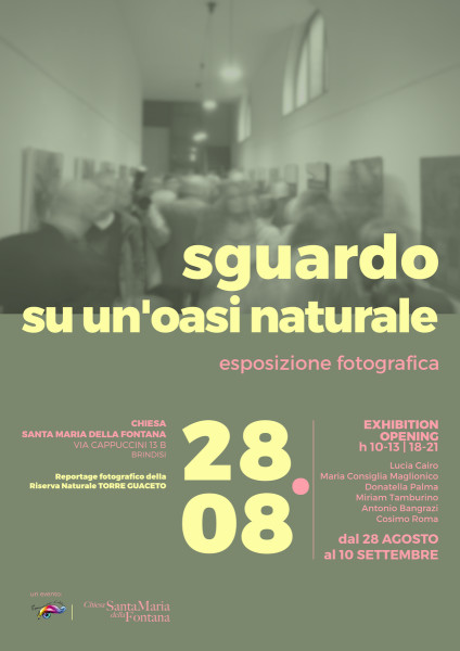 Torre Guaceto visto da Espressioni d’Arte