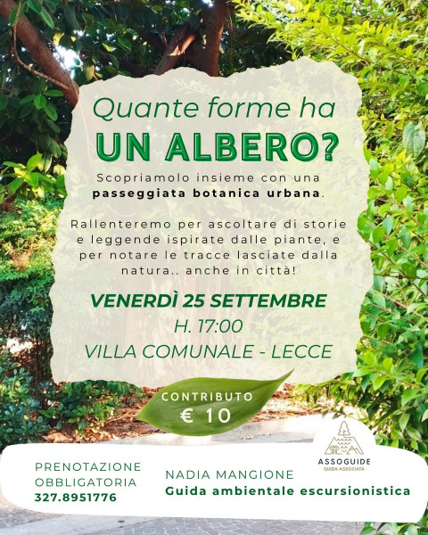 Quante forme ha un albero?